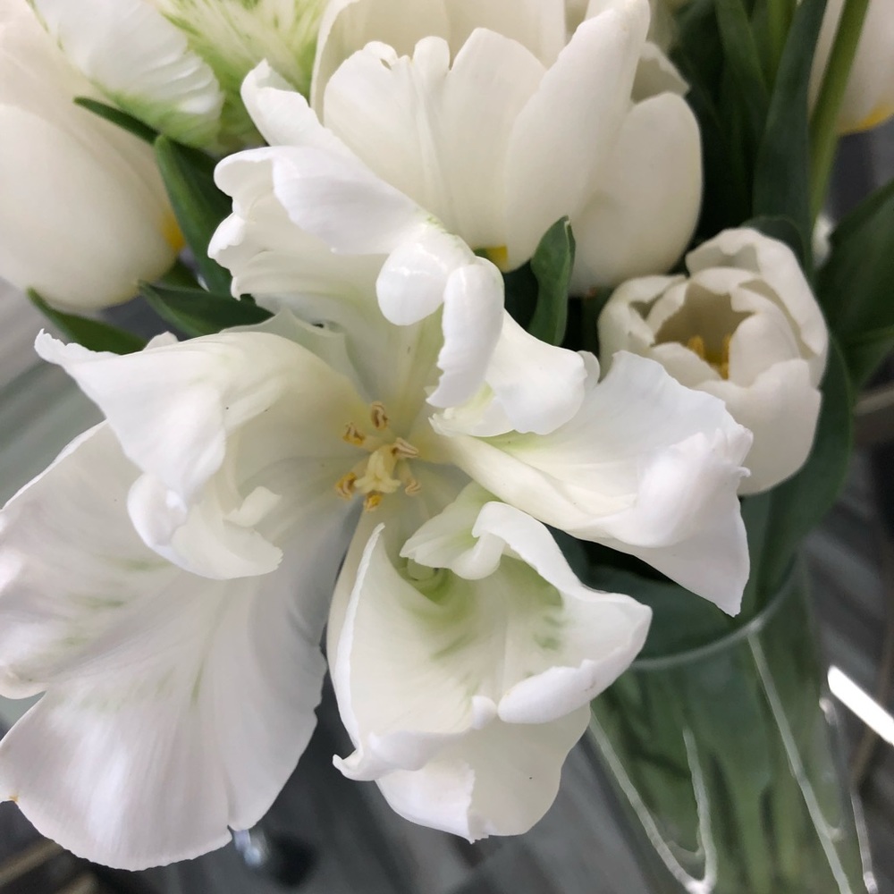 Meet your Posher, Eliza